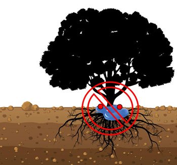 Wrong Drip Emitter Placement