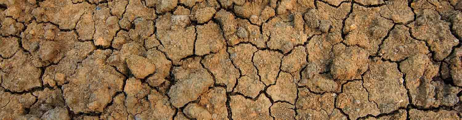 Soil Treatments Background