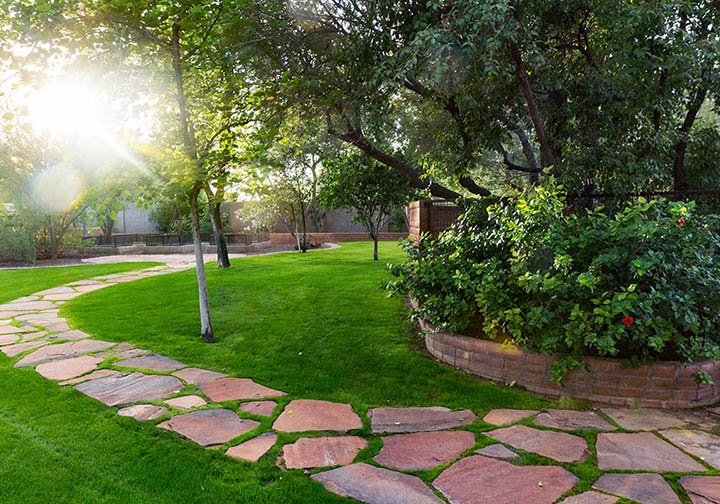 Let Tree Pros Irrigation Experts Help Create the Landscape You Deserve.