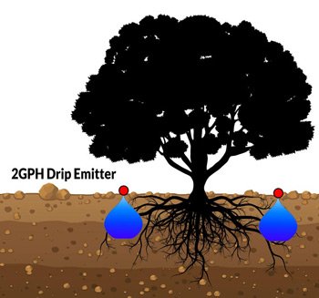 Proper Emitter Placement