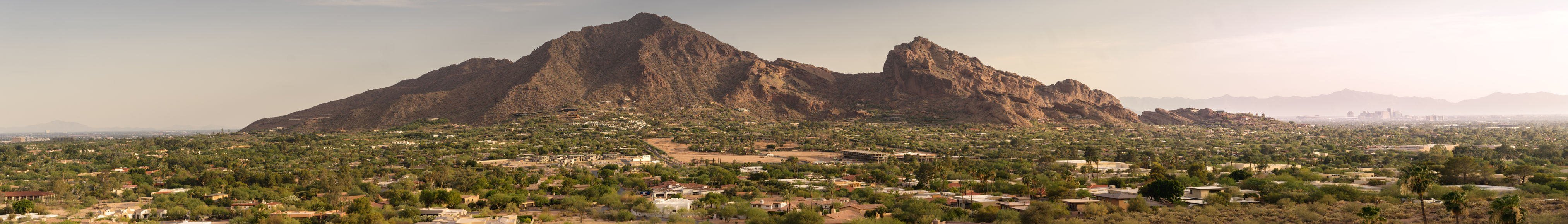 Tree Care Background