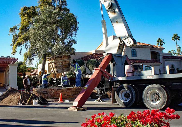 Planting guaranteed!