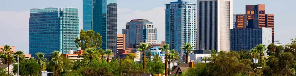 Commercial Division Background