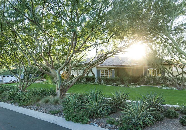 What Tree Care Means to Tree Pros