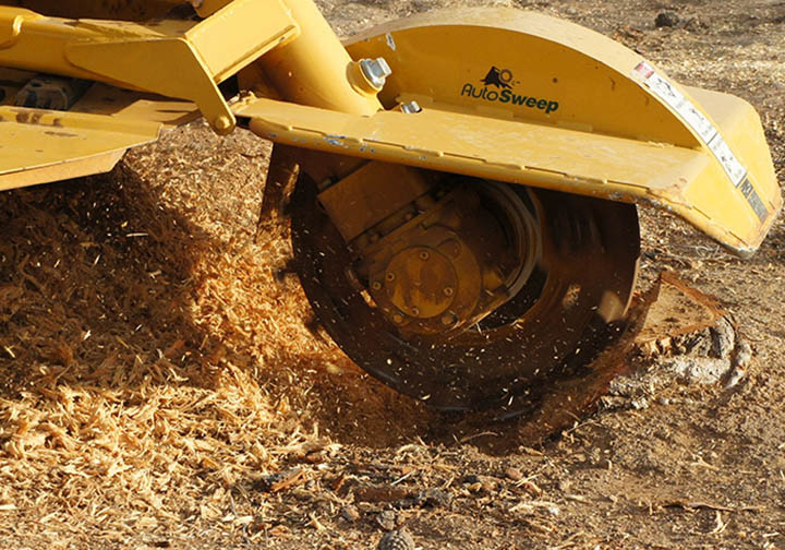 How do you get rid of a tree stump?