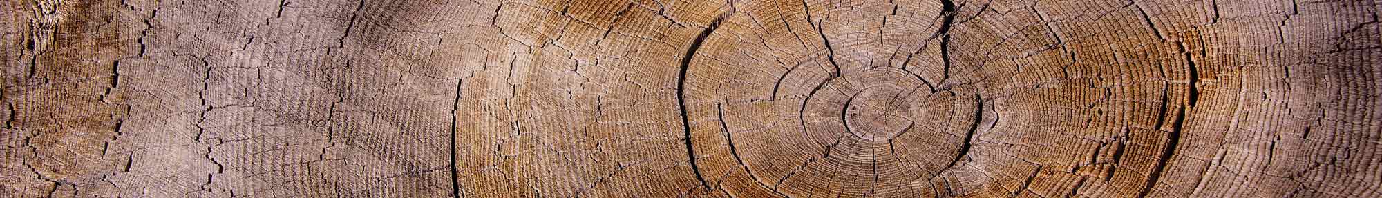 Stump Grinding Background